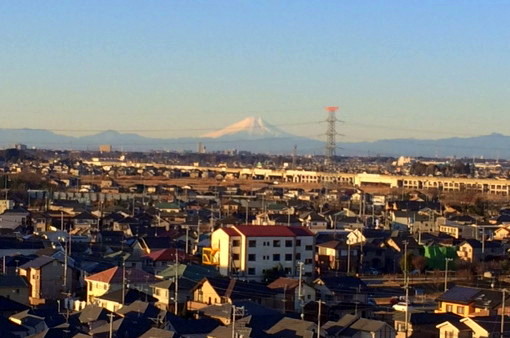 朝の富士.jpg